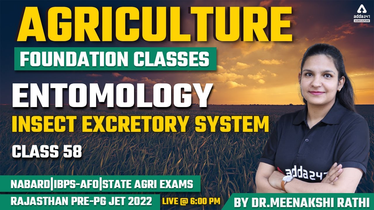 Agriculture Foundation Classes | Entomology #58 | Insect Excretory System | Rajasthan Pre-PG