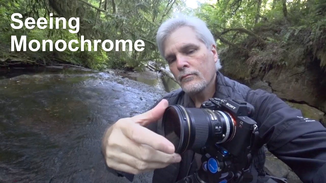 Seeing Monochrome | Black and White Nature Photography, the End of Summer