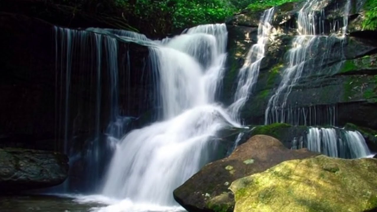 Cascade Waterfall | Pure Nature Sounds for Calm Sleep, Peaceful Waterfall Sounds to Reduce Anxiety