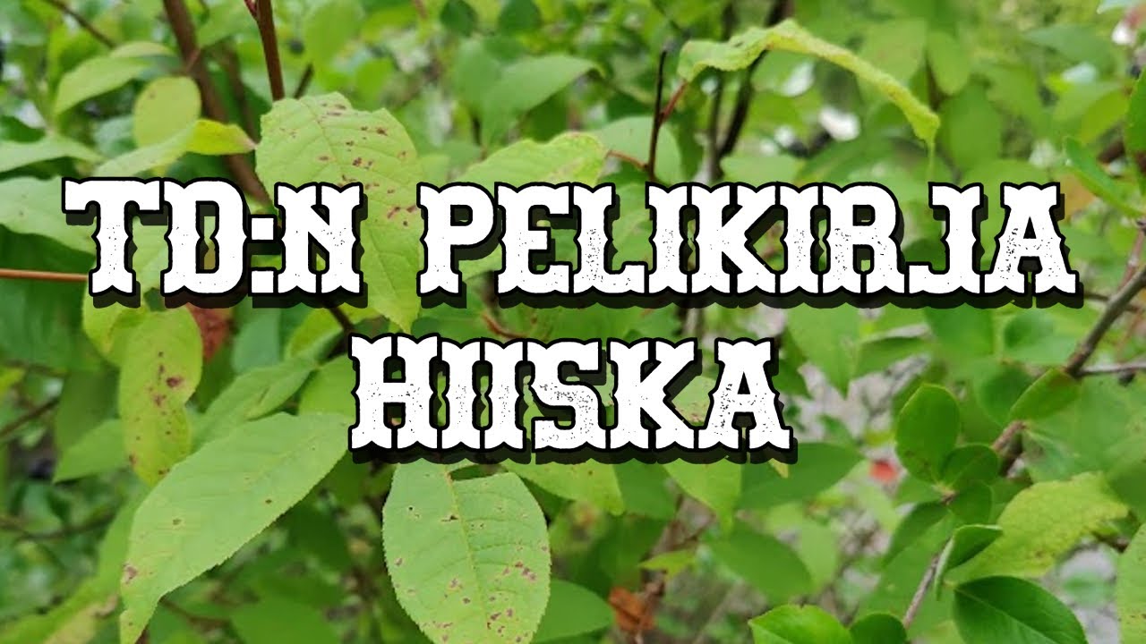 TD:n pelikirja, Hiiska DG