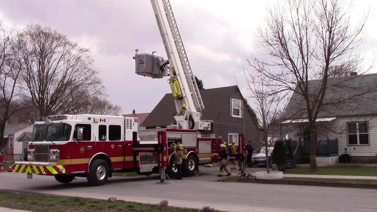Man Electrocuted while up in tree.