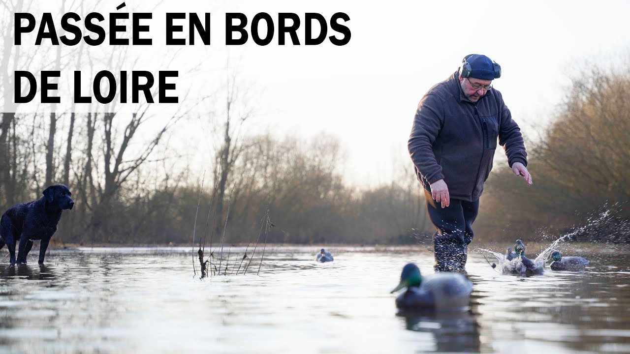 PASSÉE EN BORDS DE LOIRE