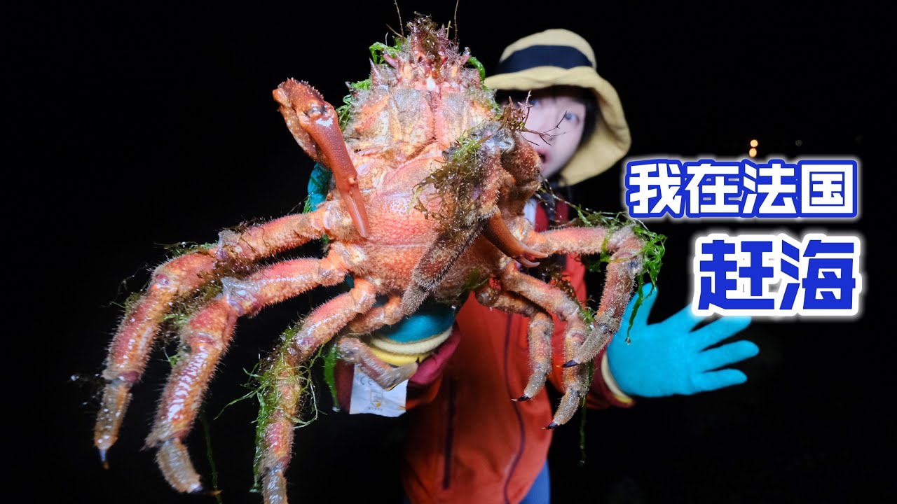 在法国赶海，春季螃蟹成群鲈鱼肥美，用蒜香煎做夜宵 | 捕鱼 | 螃蟹 | 龙虾 | 趕海 | 美食 | 法國 |