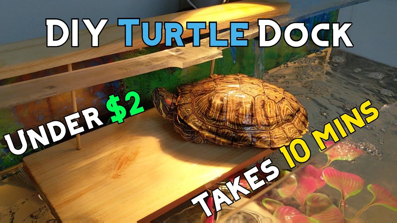 HOW TO BUILD DIY TURTLE BASKING DOCK!