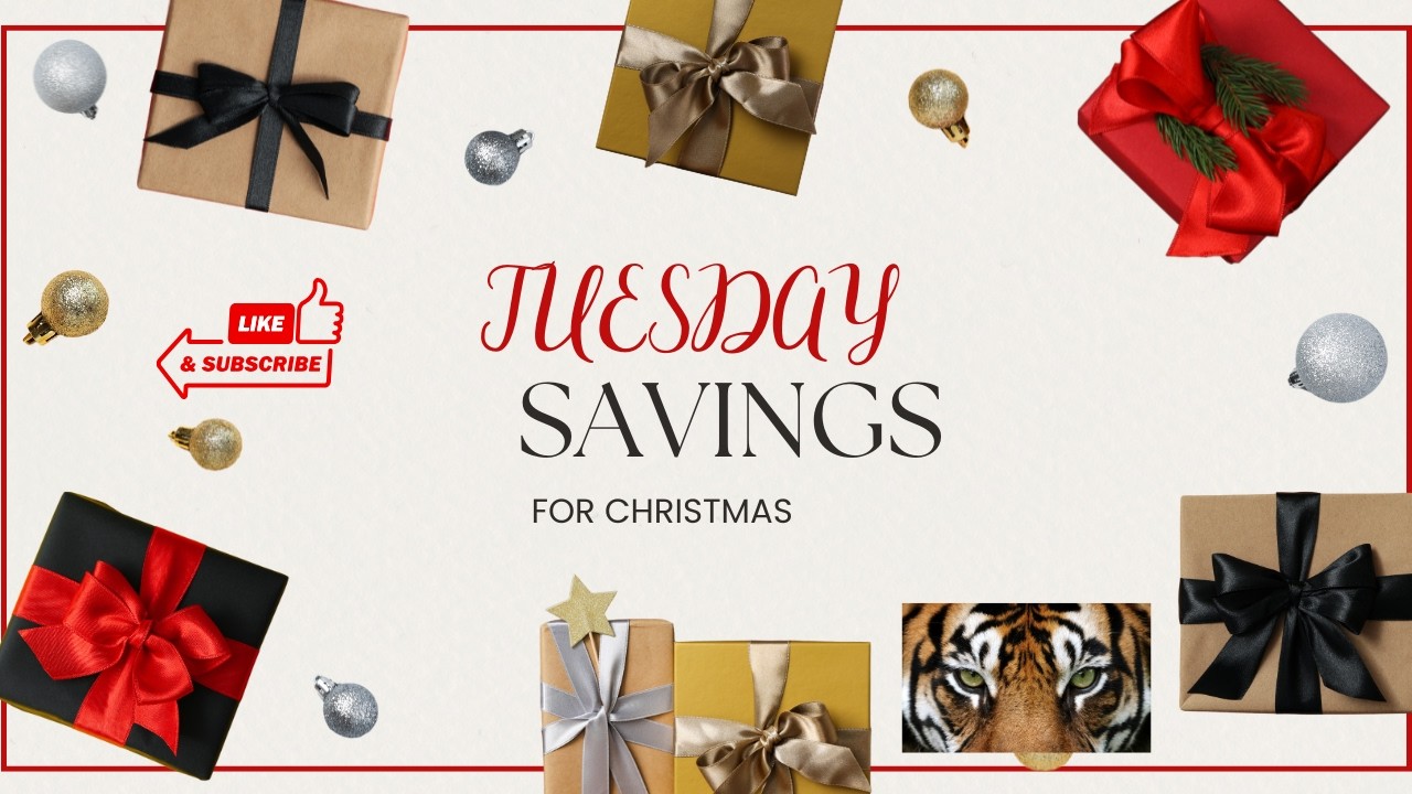 TINY SAVING FOR CHRISTMAS