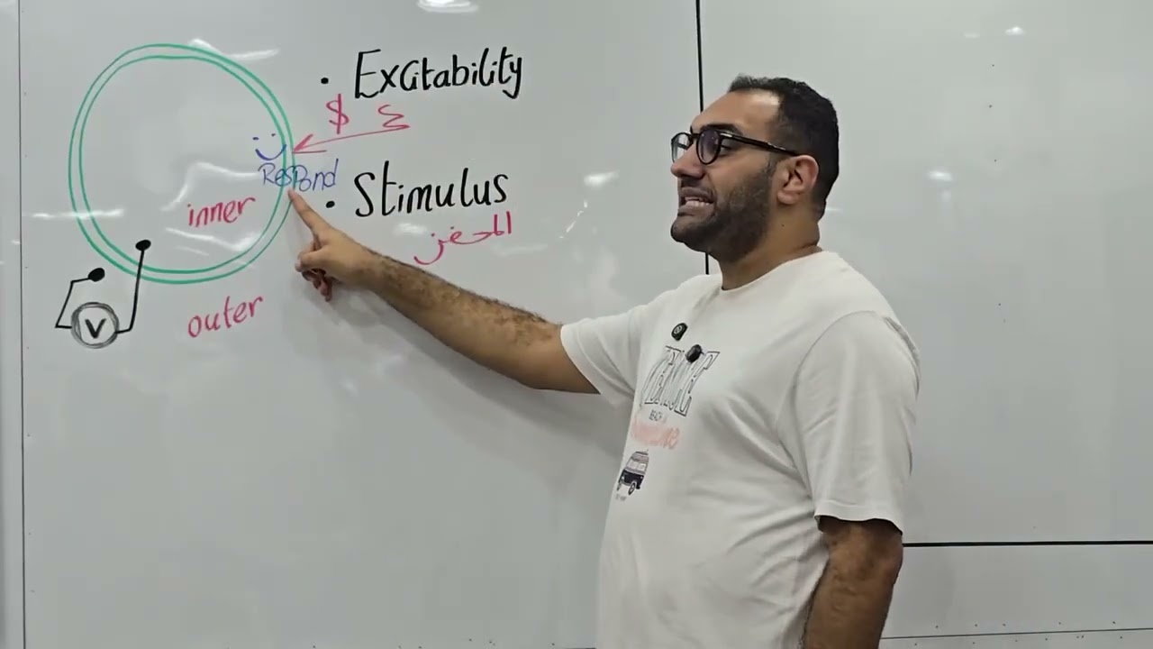 Physiology [Nerve-2] - القصر العيني 199