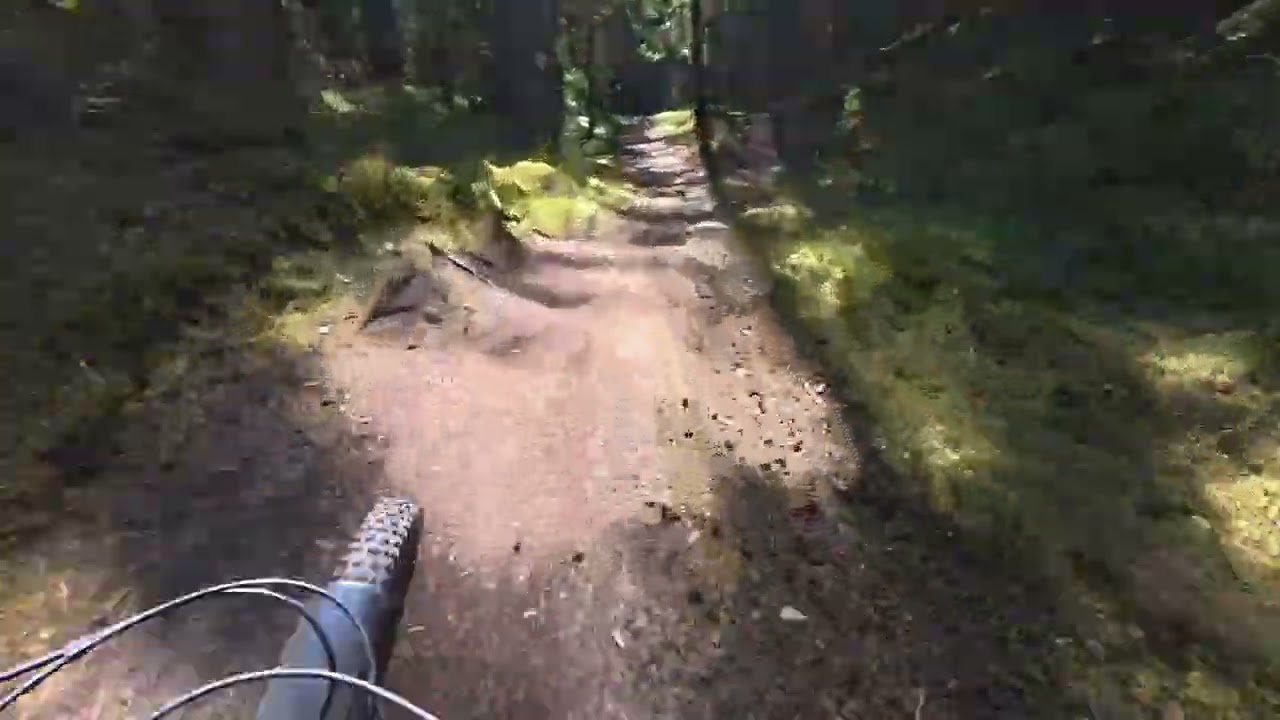 MTB Heidenberg Trails - YT Decoy