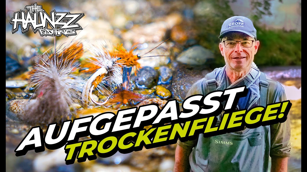 Trockenfliegen angeln: Beachte diese Dinge und es funktioniert!