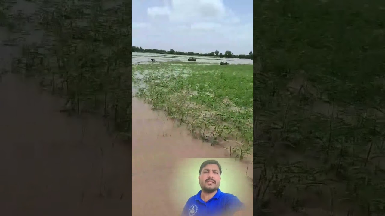 Panjab ke sare daryaon min pani ka level bahat ziyadah kai alaqon min hi level selab hay #ytshorts