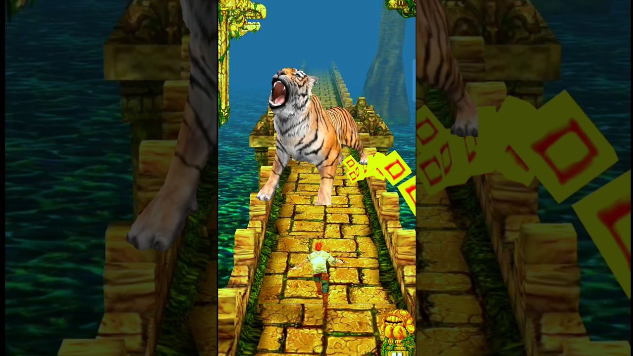 Tiger Attack Me 🤯 | #shorts | #2211