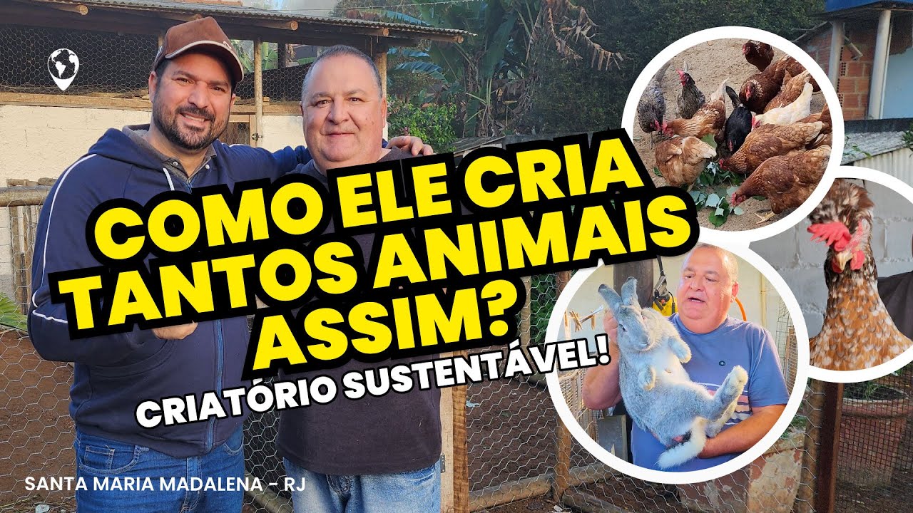 Como CRIAR e ORGANIZAR diversos ANIMAIS: Dicas SUSTENTÁVEIS para um criatório de sucesso