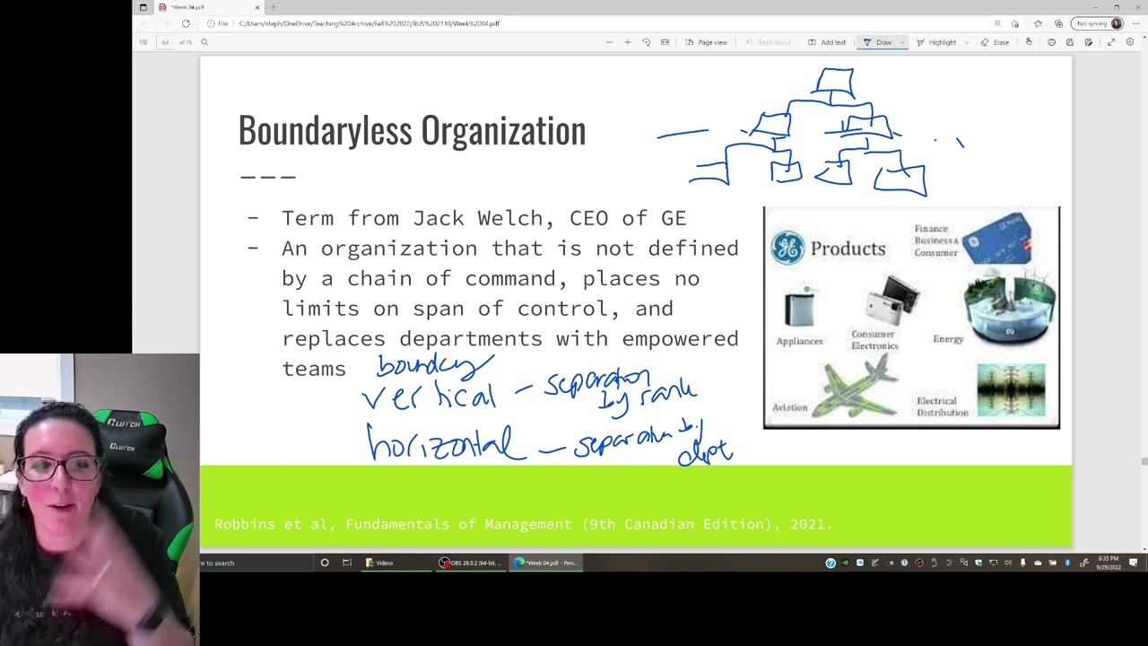Boundaryless and Virtual Organizations