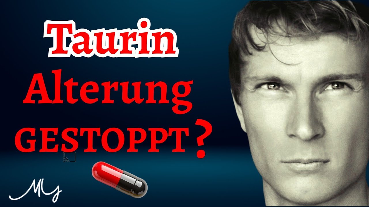 Taurin: Lebensverlängerung aus dem Supplement-Regal? Der faire Realitätscheck