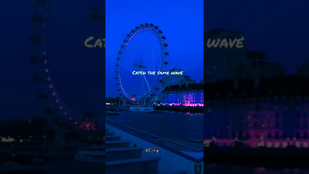 Harley in Hawaii 🖤