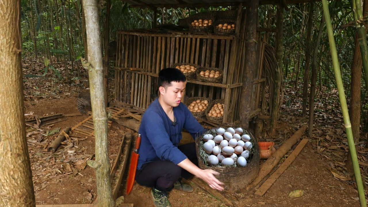 Linh made a new bamboo door for her little house with her own hands.
