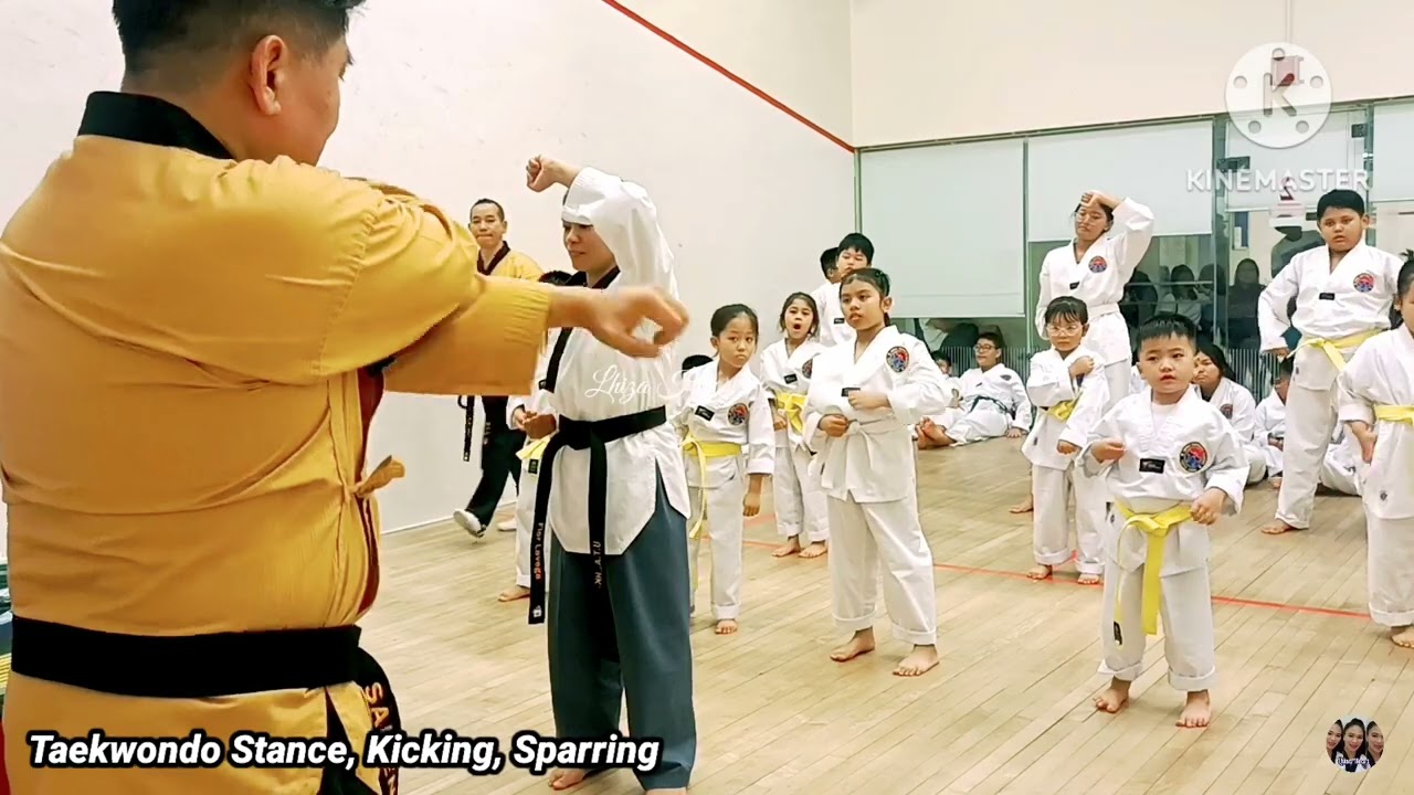 Taekwondo Stance |Taekwondo Kicking |Taekwondo Sparring |Taekwondo Blocking #sports #kids #tkd