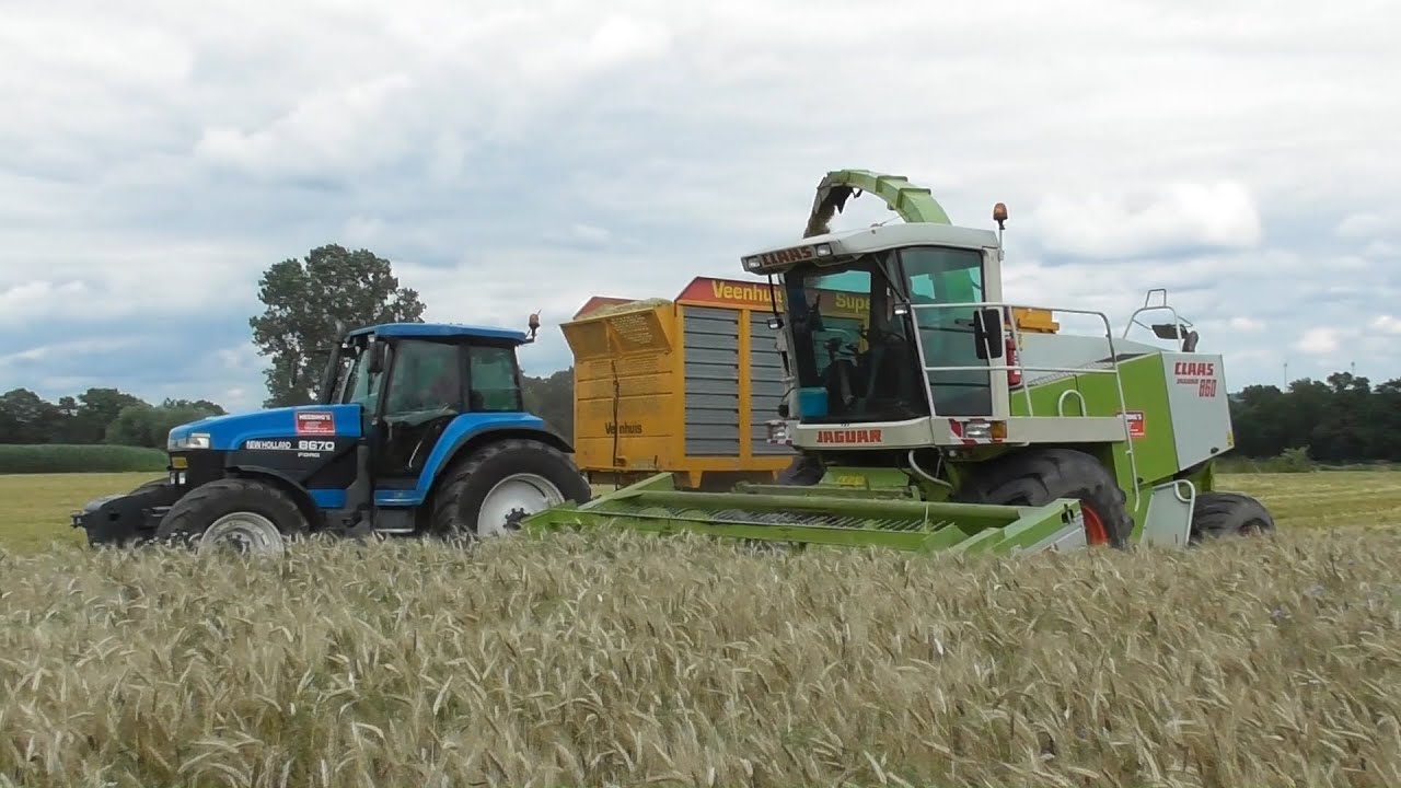 Chopping triticale by Heebing