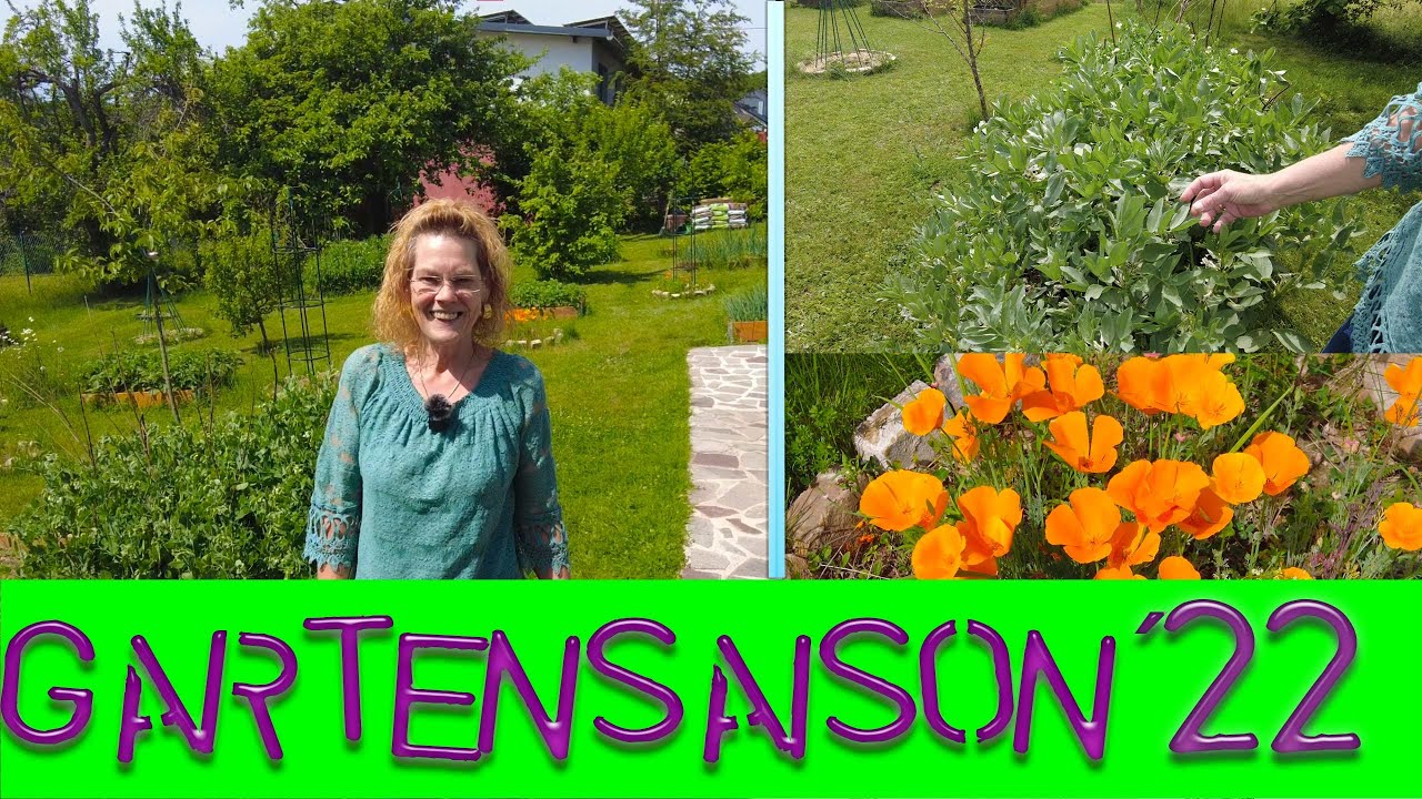 Wie sieht´s aktuell im Garten aus? Schädlinge? Unwetter?Bewässerungstöpfe?