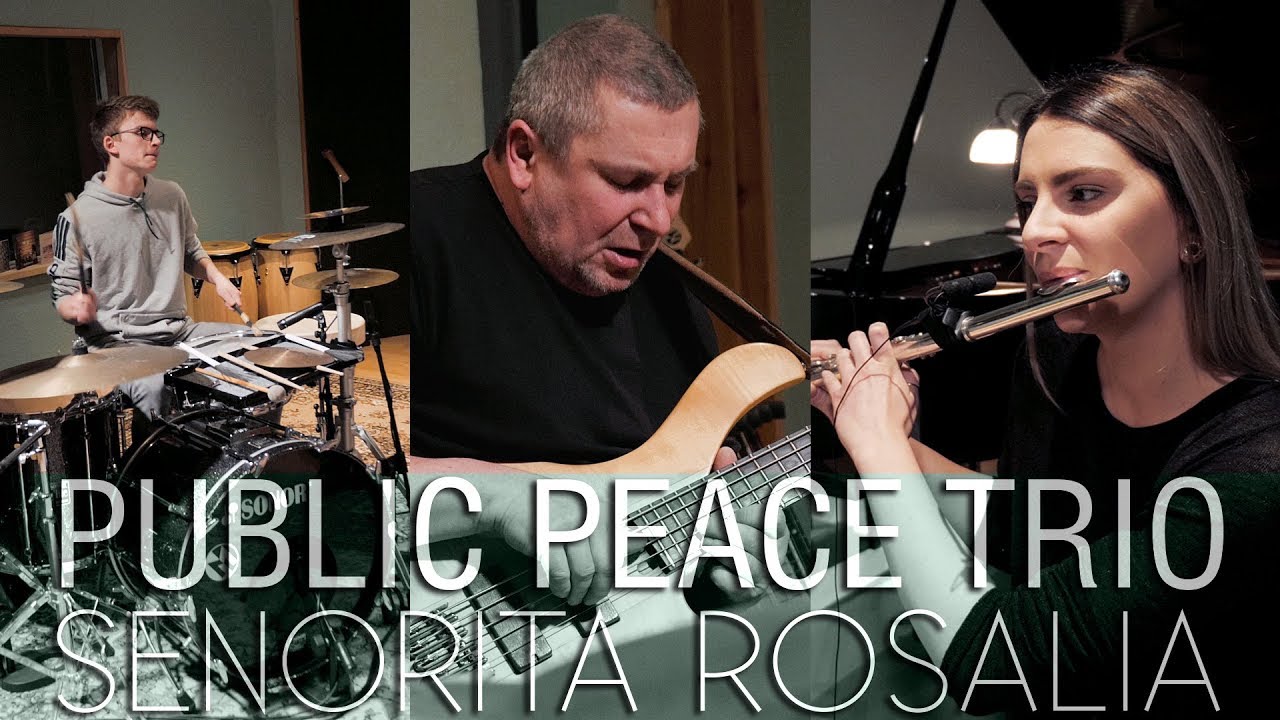 Public Peace Trio - Senorita Rosalia