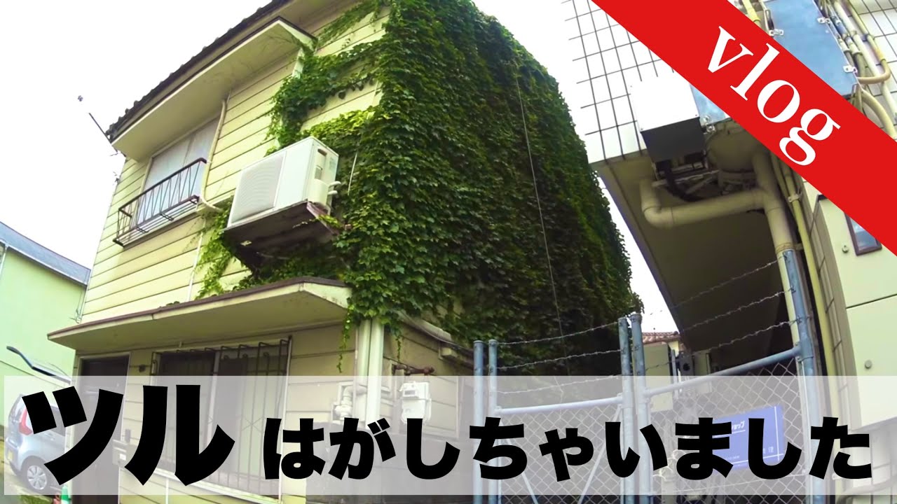 壁一面のツル性植物を撤去した　スカイマスター（高所作業車）で４時間作業の一部始終