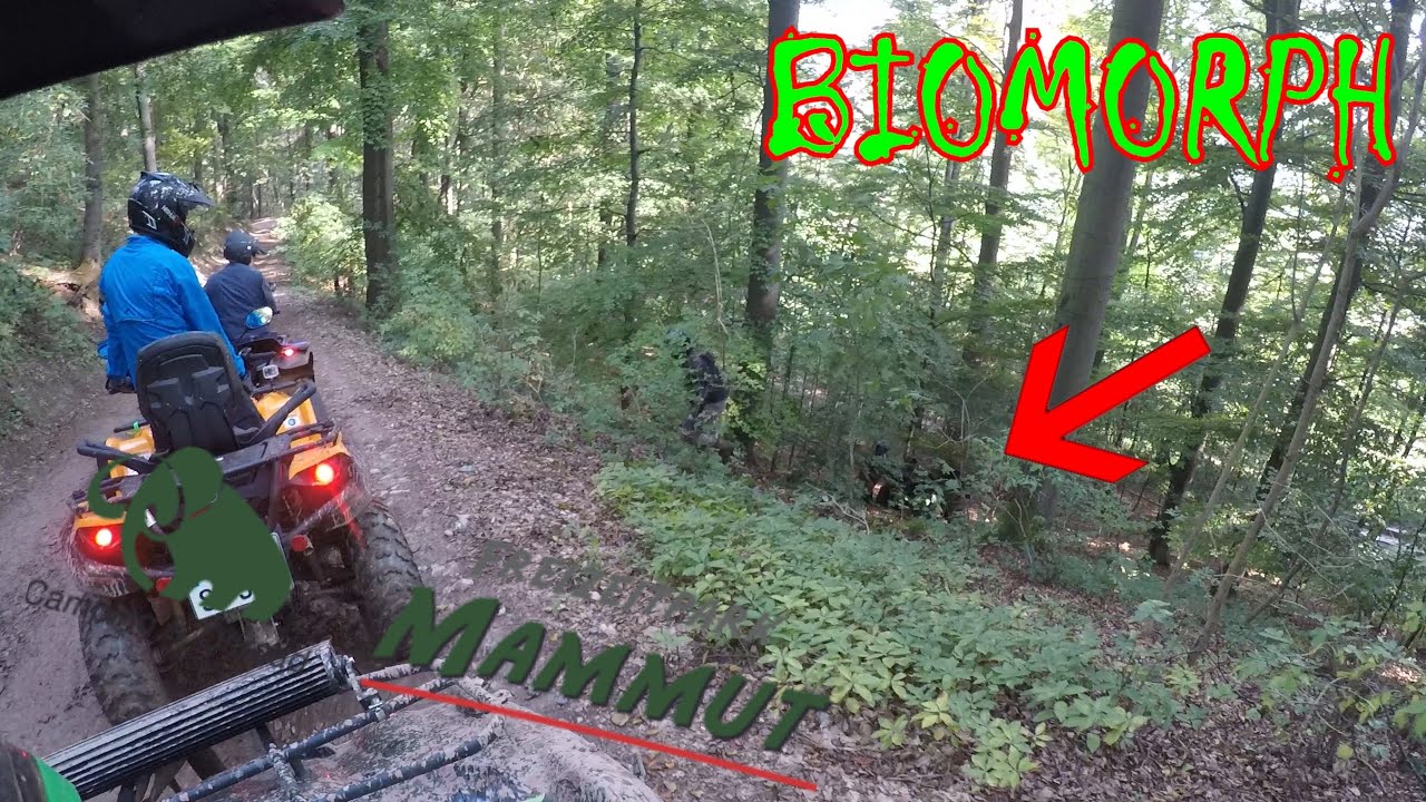 @daredevil_offroad erste runde im Mammutpark | Nichts für Weicheier | Offroadpark Mammut Sep 2020