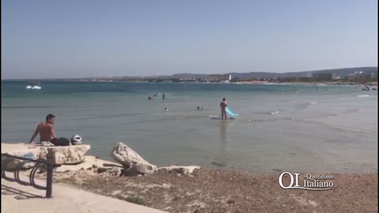 Alga tossica a Torre Canne, mancano i cartelli di divieto