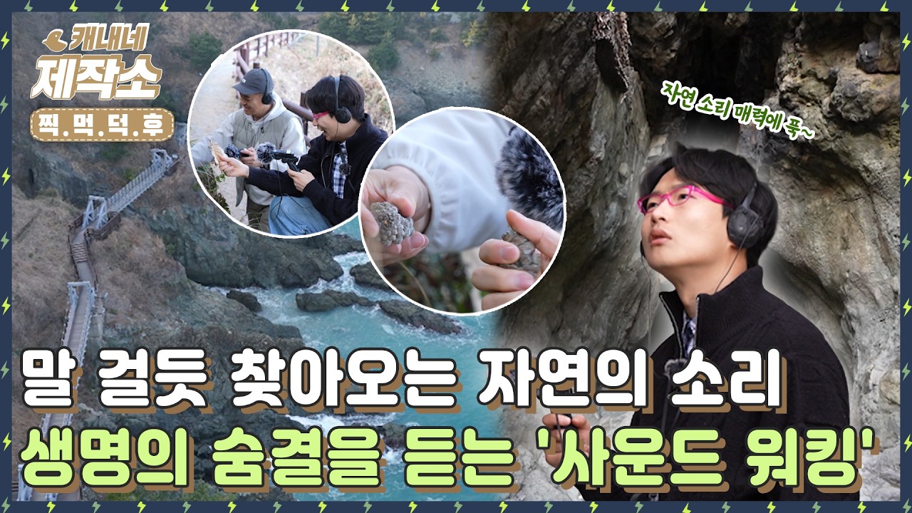 [🤩찍.먹.덕.후🤩] 🌿🎧말 걸듯 찾아오는 자연의 소리 생명의 숨결을 듣는 '사운드 워킹'🌿🎧 I 굿모닝투데이