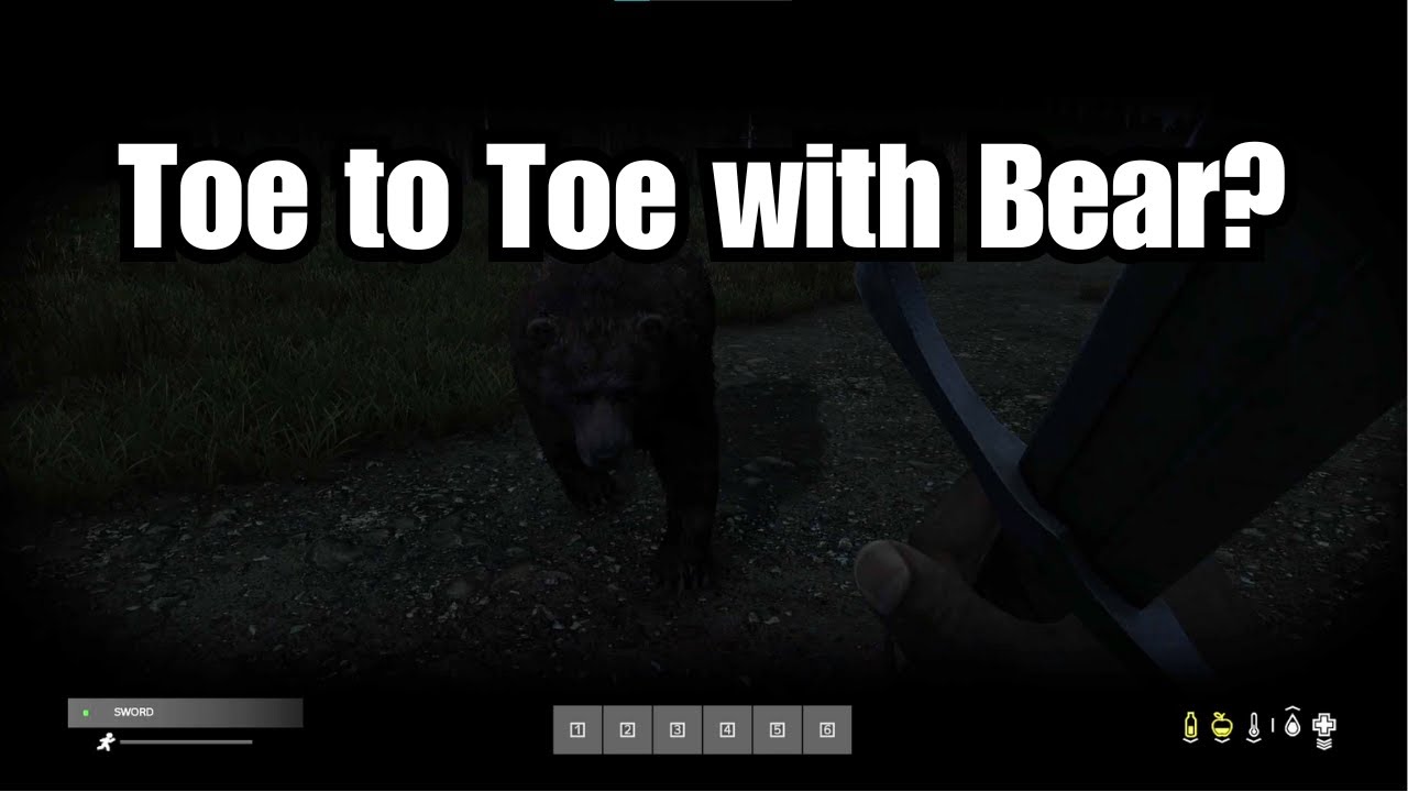 DayZ Mythbusting