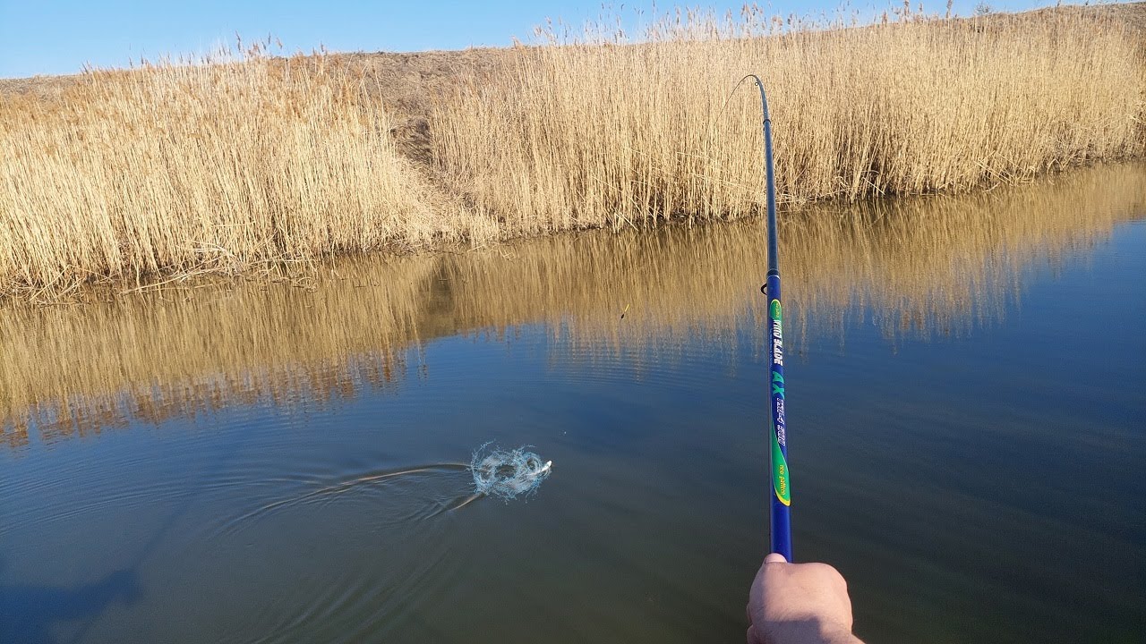 Din nou la balta secreta plina de caras