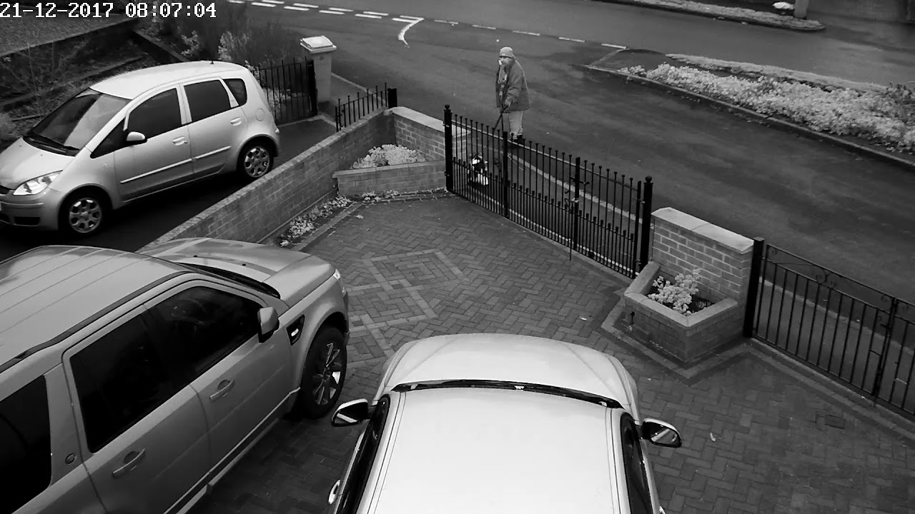 Dog fouling pavement