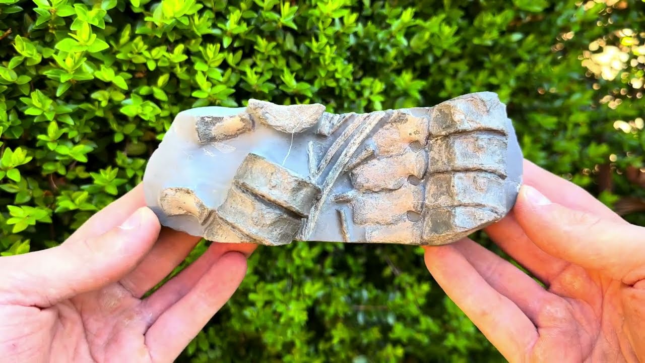 We Cleaned Up Dinosaur, Crocodile and Ichthyosaur Bones! 