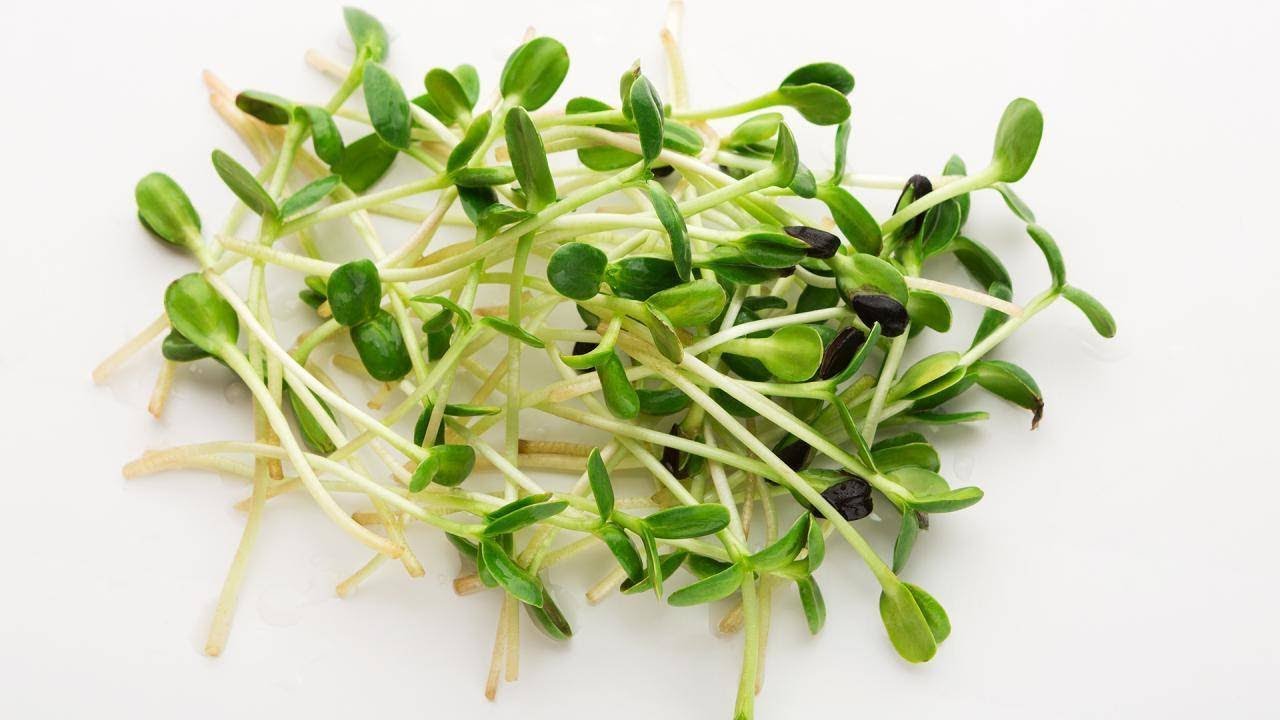 Do Broccoli Sprouts Have More Anti-Cancer Potential Than Broccoli?