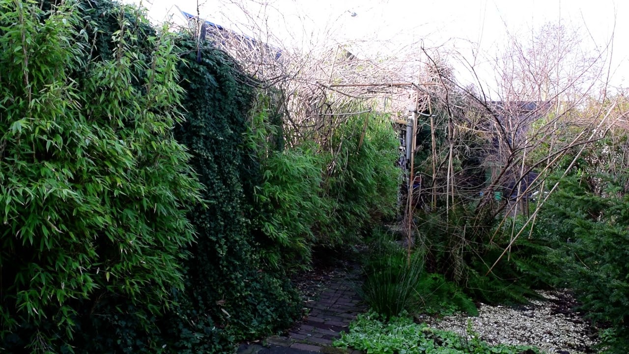 The boring Garden #074