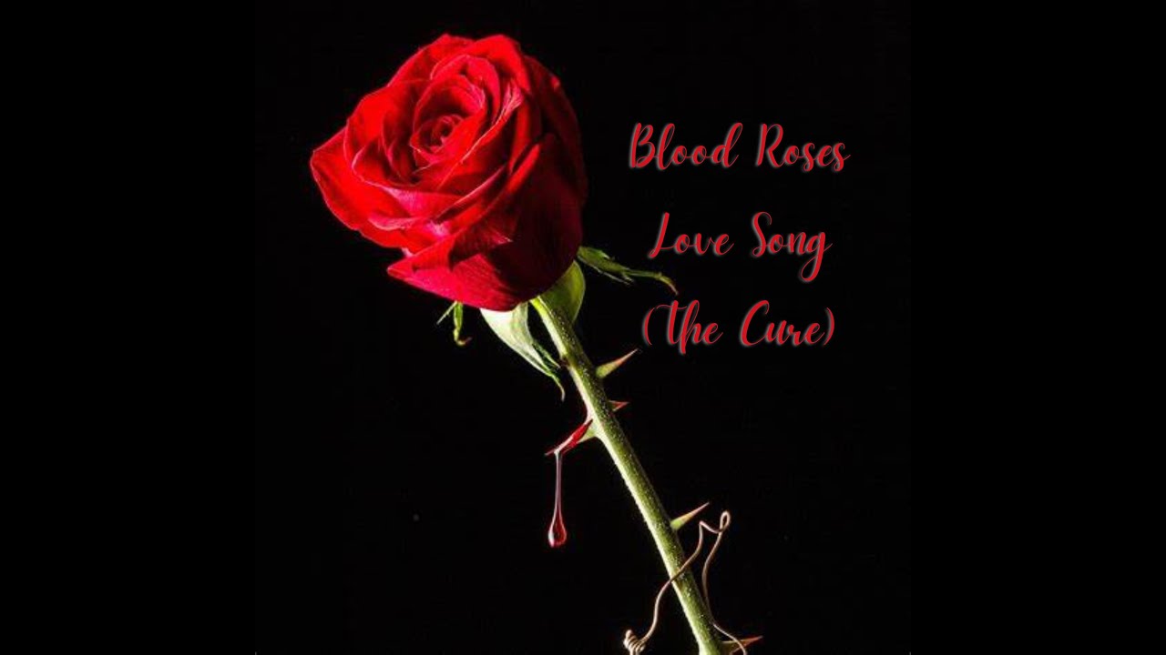 Love Song -  Blood Roses (The Cure cover)