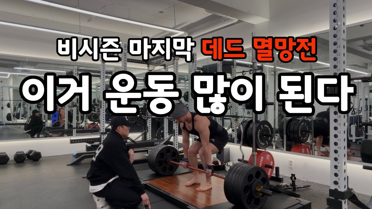 비시즌 데드 멸망전! 이거보면 운동 많이 된다