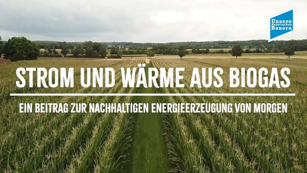 Strom und Wärme aus Biogas - Ein Beitrag zur nachhaltigen Energieerzeugung von Morgen