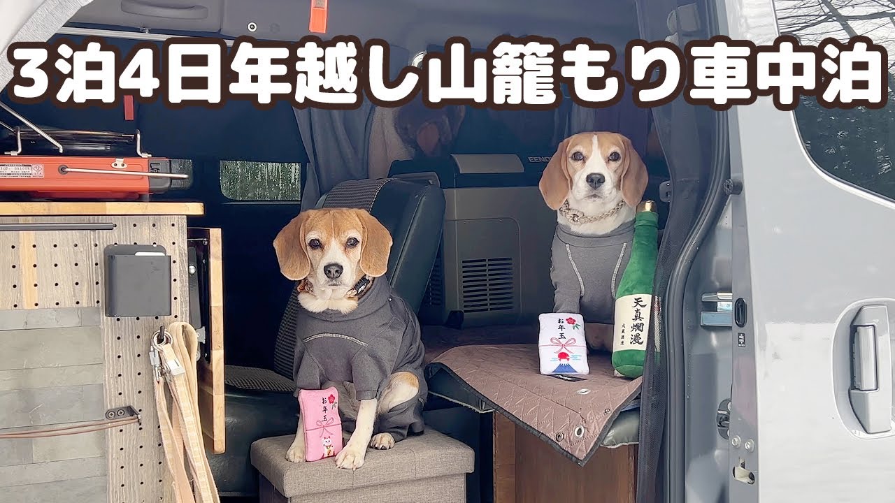 -7度で暖房なし！？ 自作のキャンピングカーで3泊4日 年越し山籠もり車中泊   -犬連れ夫婦キャンプ-