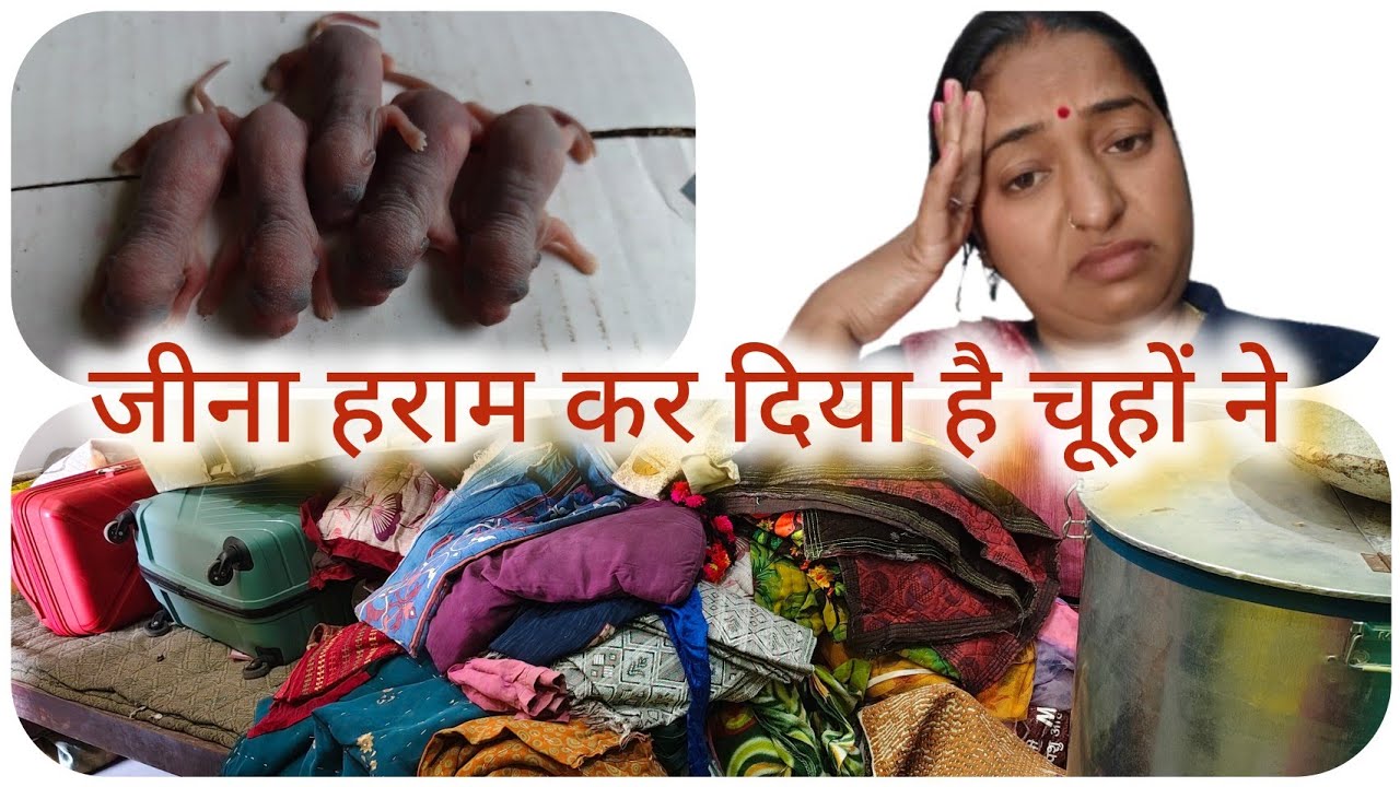🌄 सुबह सुबह चूहों ने दिमाग़ ख़राब कर दिया 😥||desi life style 