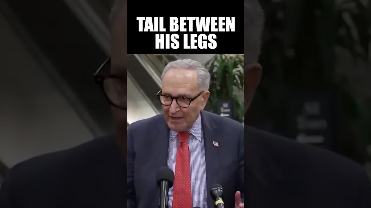 Pete Hegseth Humiliates Chuck Schumer in Front of the Press