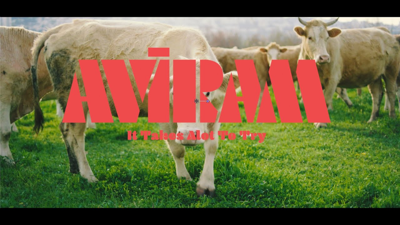 Aviram - It Takes A lot to Try (official video)