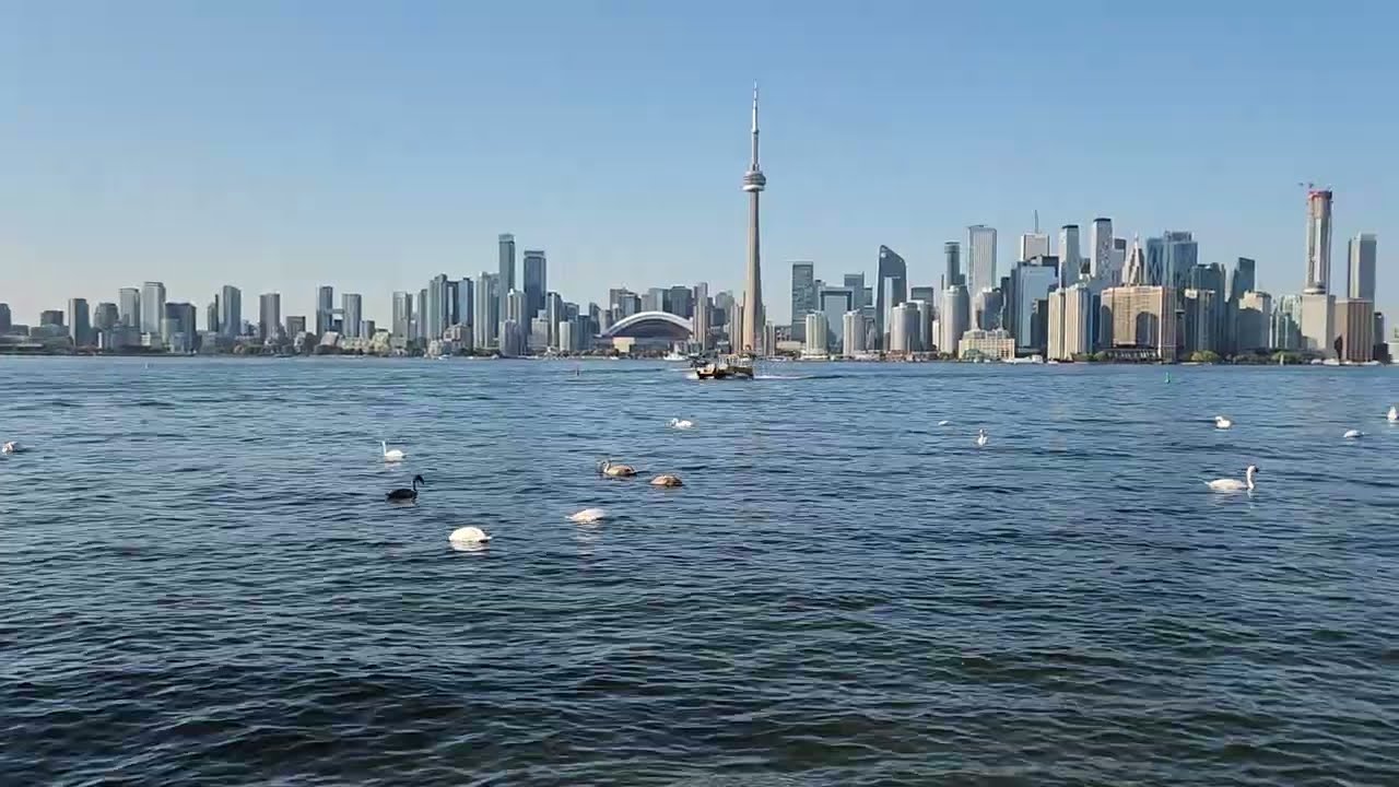 Toronto Skyline from Centre Island A Serene View of the City 