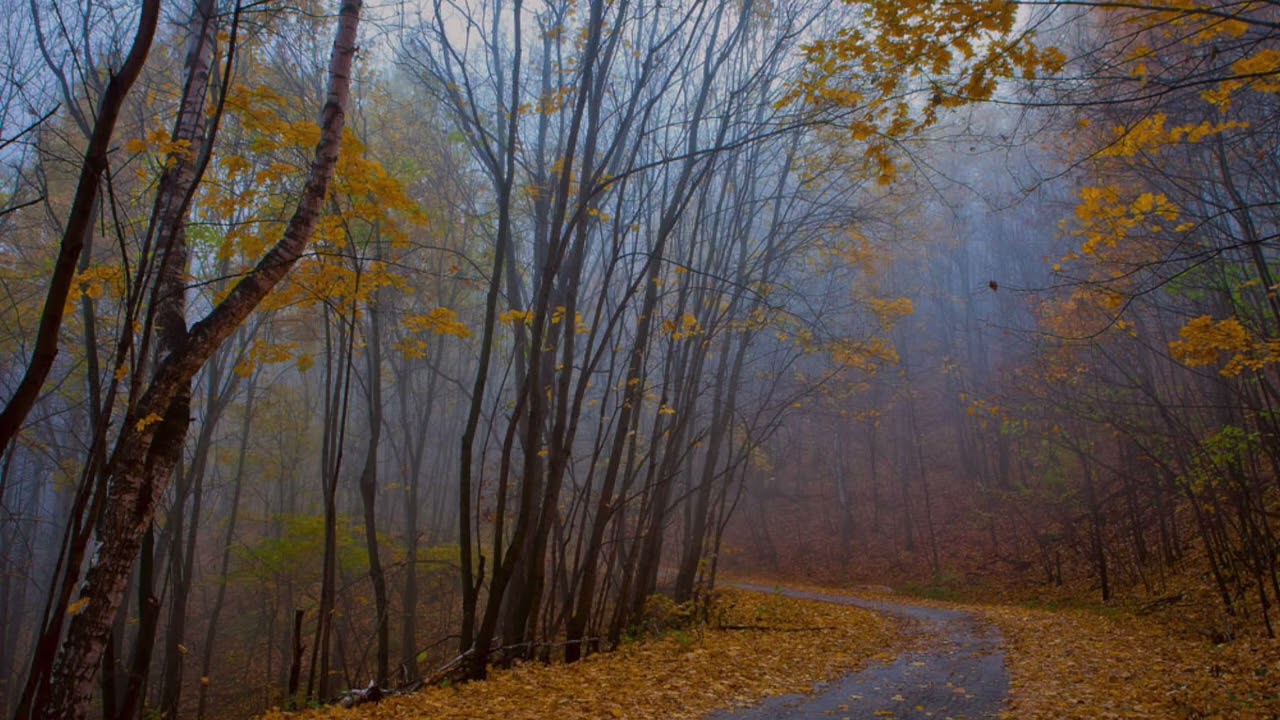 Sprachen lernen online mit dem Gedicht 