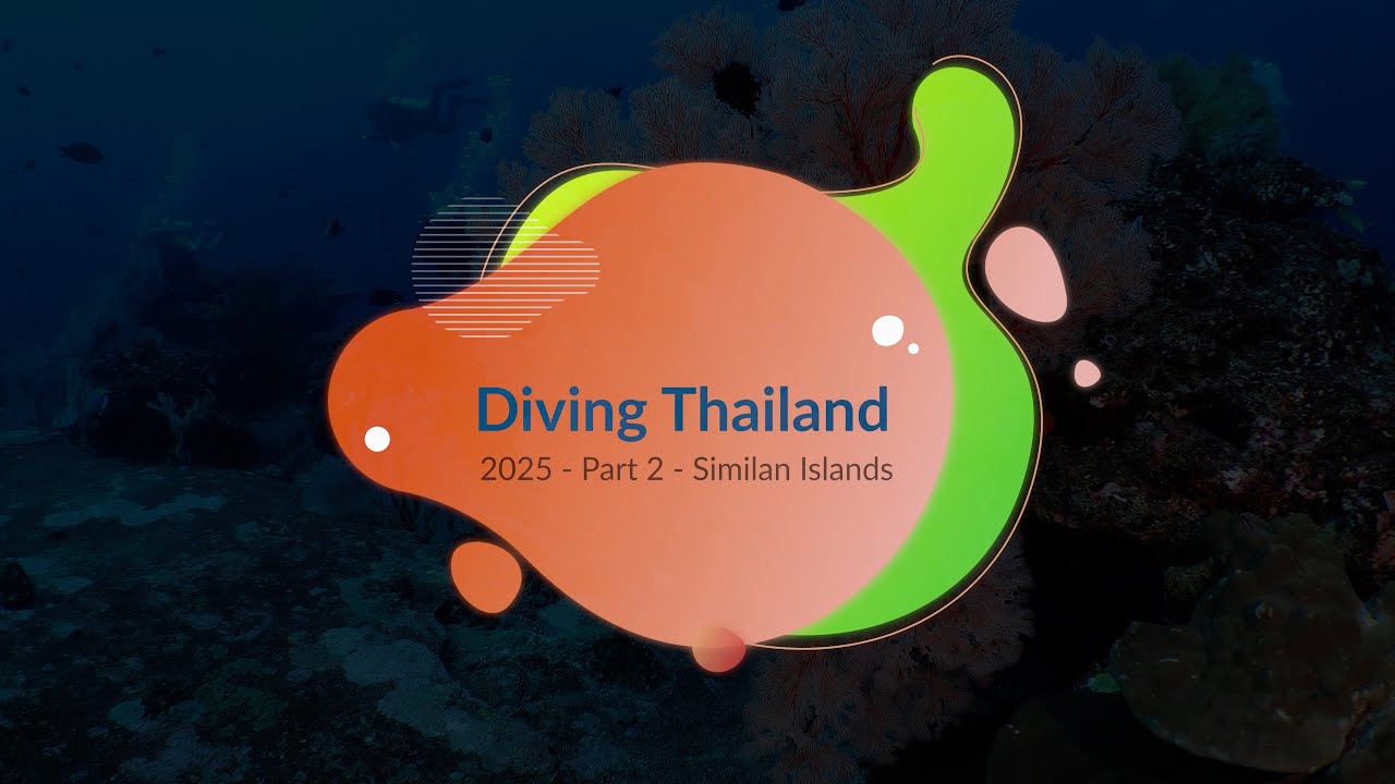 Diving Thailand 2025: Part 2, Similan Islands