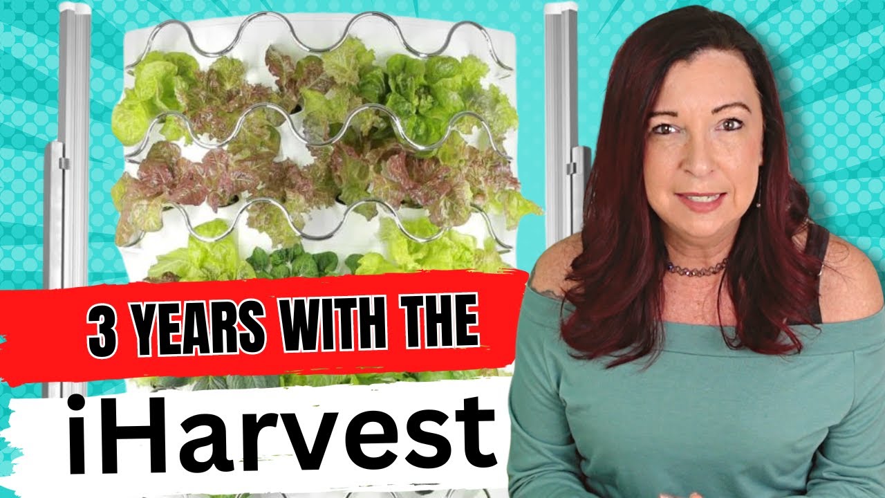 3 года с iHarvest — обновление 2024 года