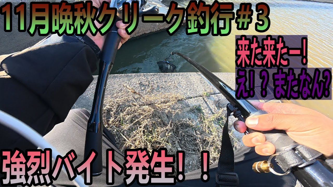 【バス釣り】11月晩秋クリーク釣行#3 超ショートバイトからの強烈バイト発生！