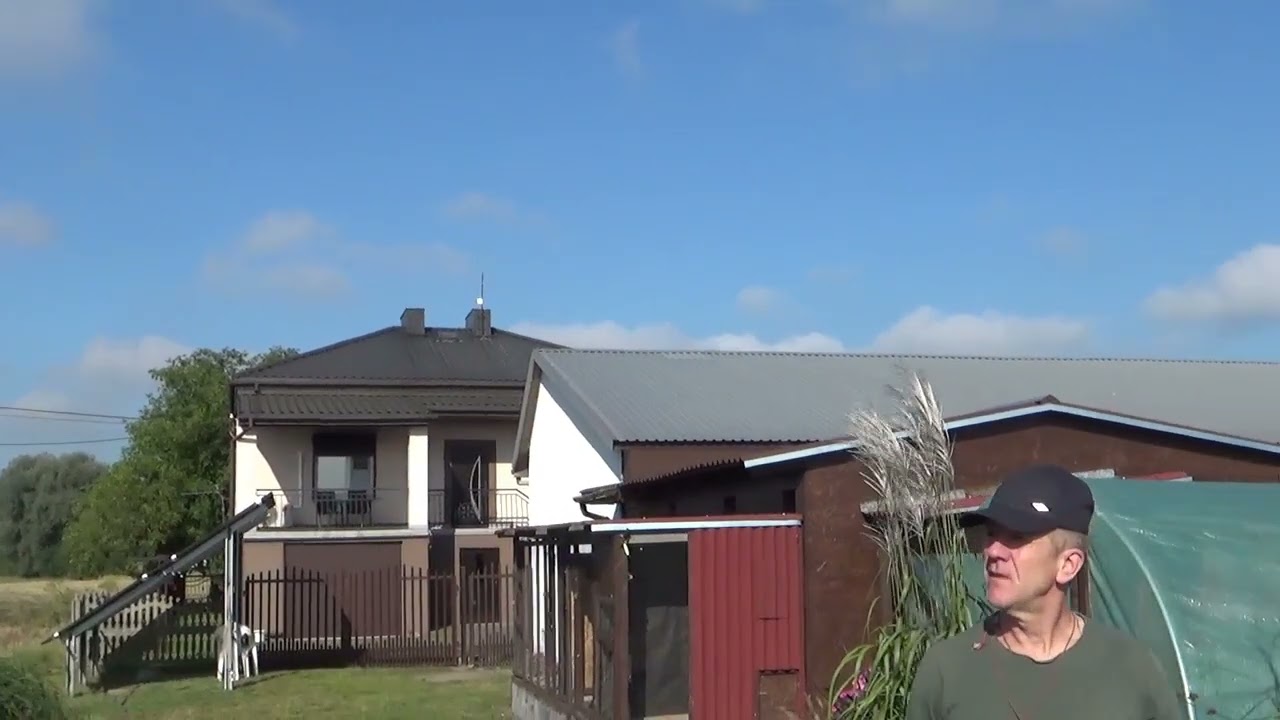 Lot młodych nr.3 - Boruja Kościelna.....