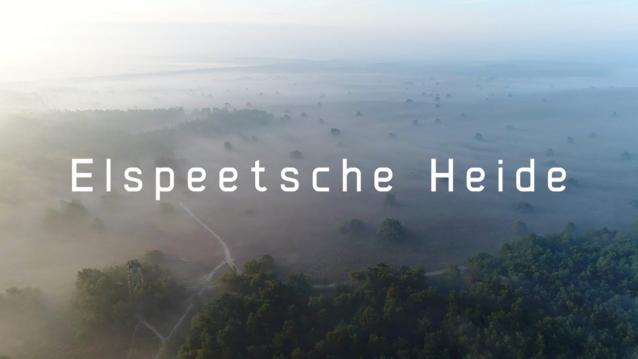 Elspeetsche Heide (Nunspeet, Nederland) | Drone Video 4K