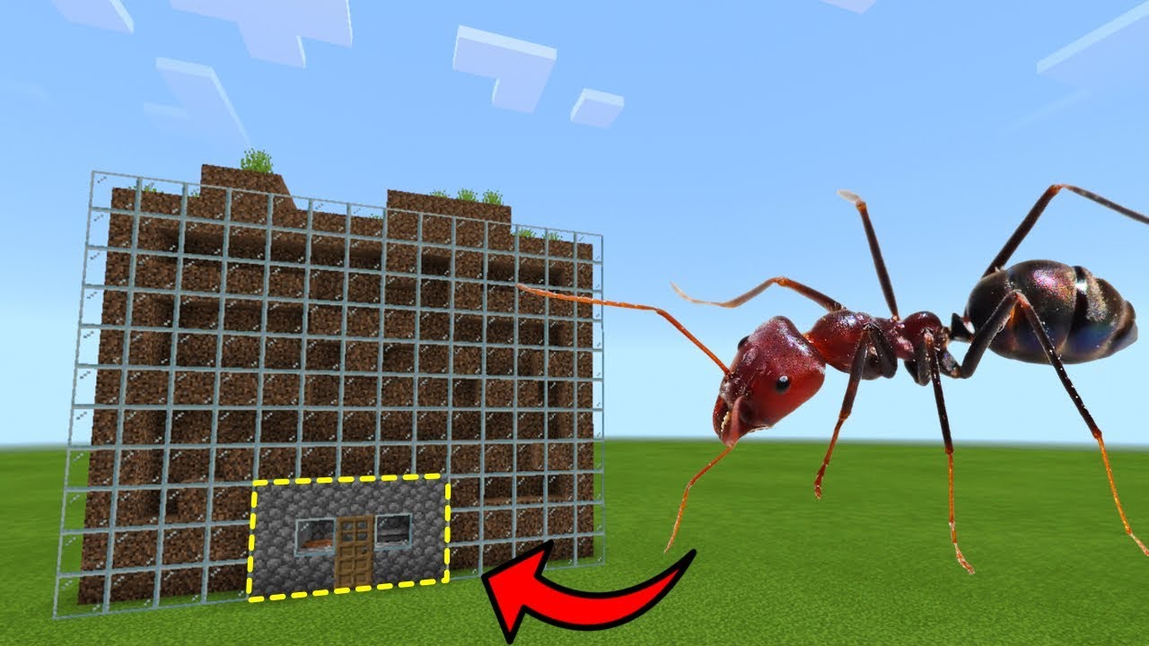 How To LIVE INSIDE a RED ANT FARM in Minecraft PE