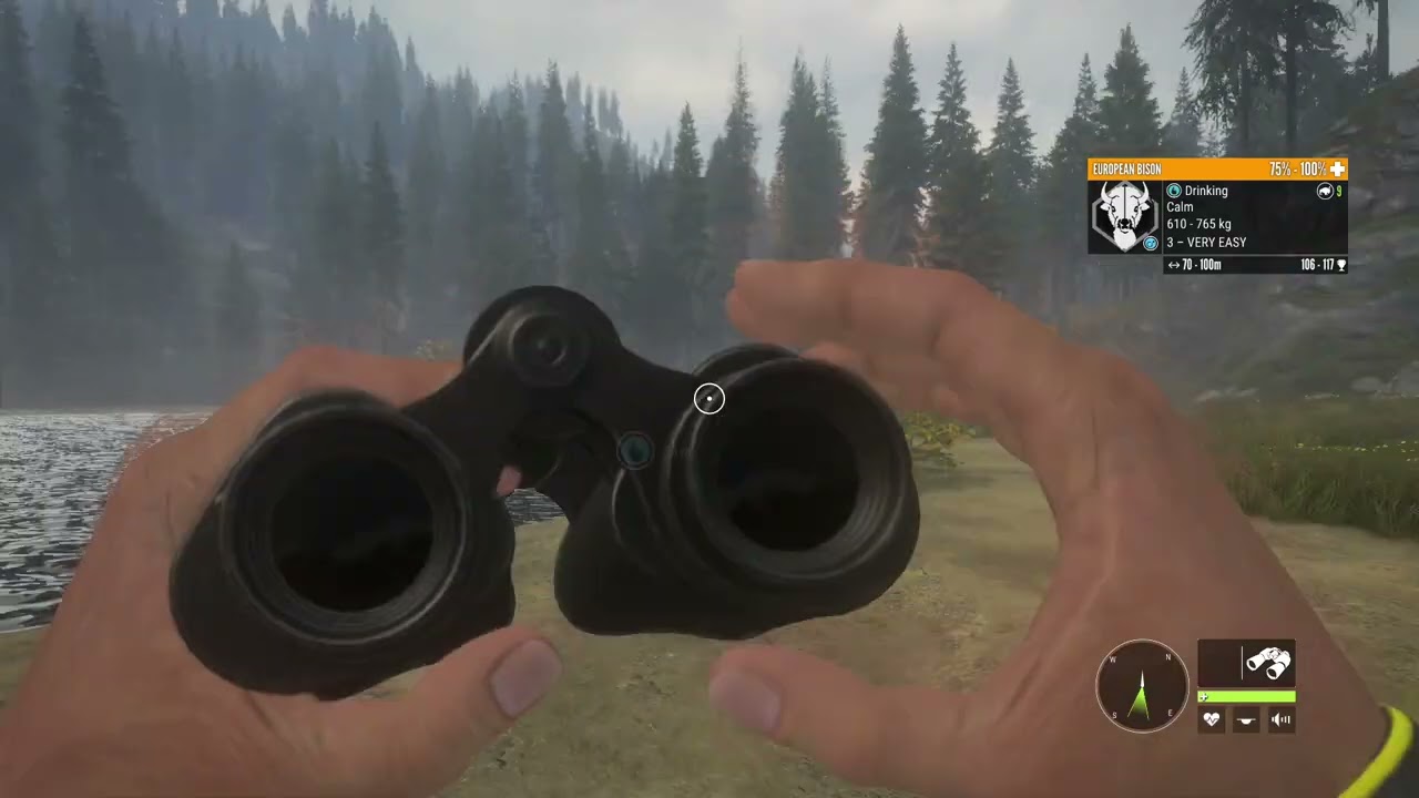 i almost shoot a diamond in hunter call of the  wild.