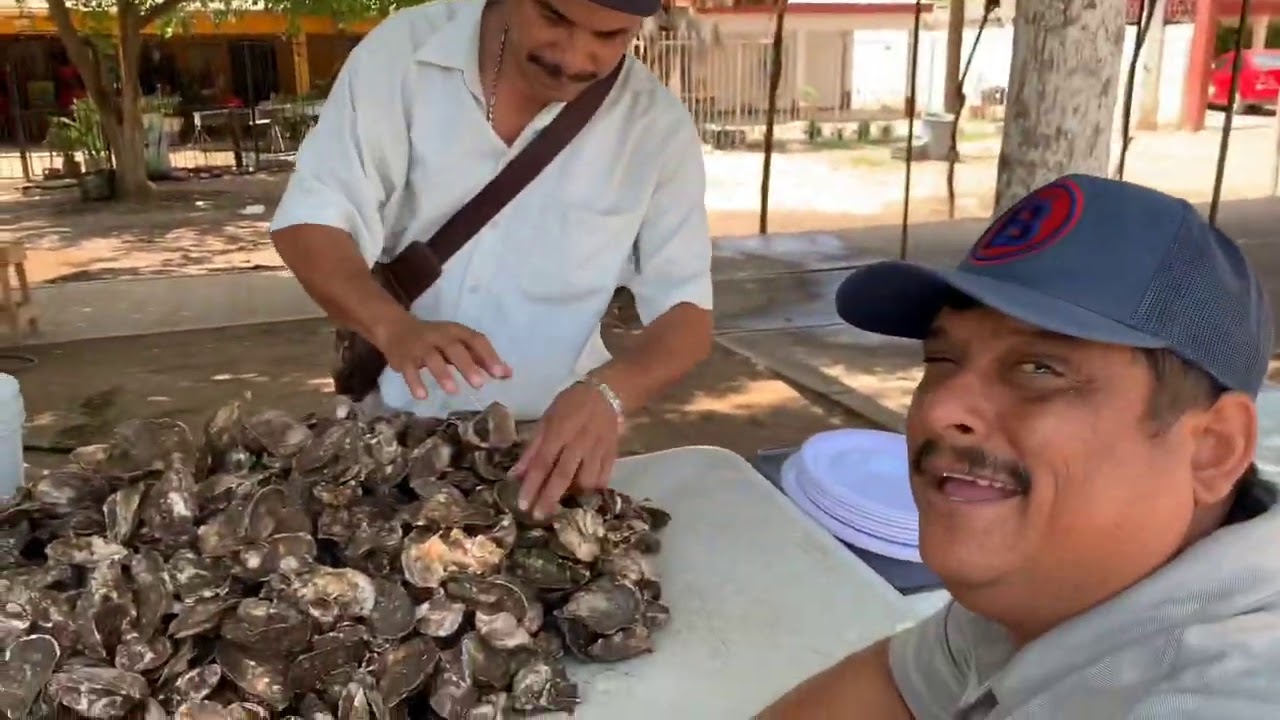 Visitamos al gato parado en su venta de ostiones